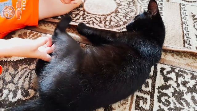 8 октября 2023 г.//С Добрым утром!🍁🐈⬛🐈Начинайте жизнь с утра,Обязательно с Добра!!! смотреть онлайн