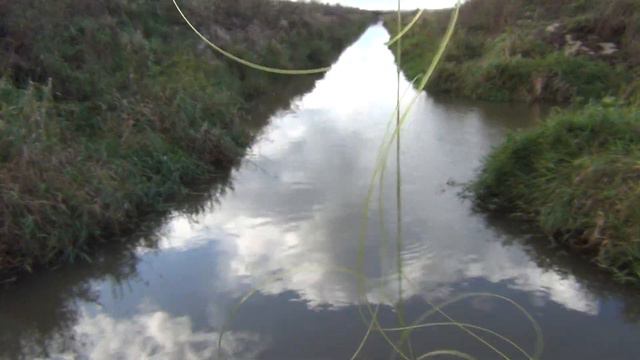 Осенняя поплавочная рыбалка на карася в канаве. Бесклевье в сентябре. смотреть онлайн