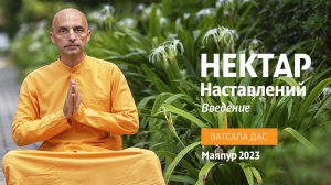 Нектар наставлений. Введение. Ватсала дас