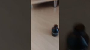 Как сделать шумный порошок в домашних узловиях