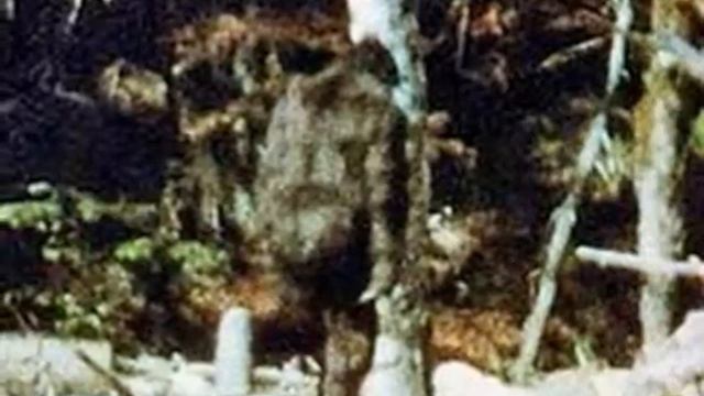 снежный человек мифы смотреть онлайн