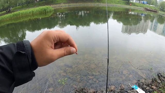 МОРМЫШИНГ НА СОЛЦЕВСКИХ ПРУДАХ / РЫБАЛКА трофейная щука на спиннинг смотреть онлайн