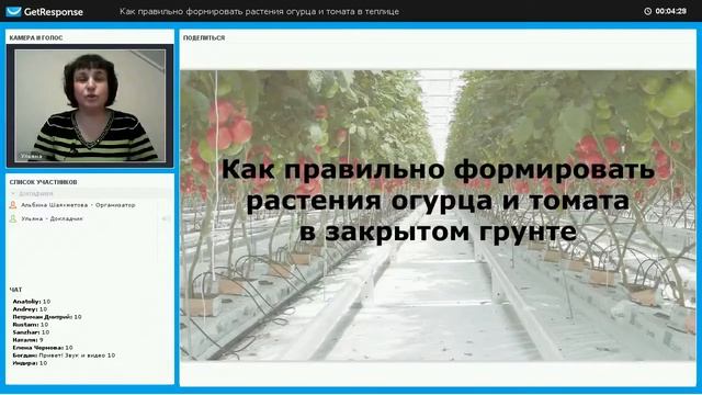 Общие понятия по формированию растений огурца смотреть онлайн