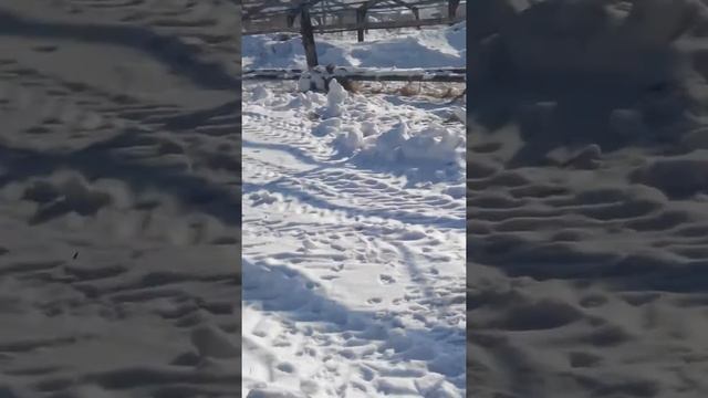 Ремонт теплиц смотреть онлайн