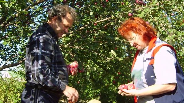 В 60 лет жизнь только начинается... смотреть онлайн