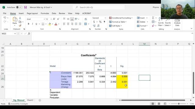 Cara Mencari Nilai P-value (sig.) Menggunakan Excel смотреть онлайн