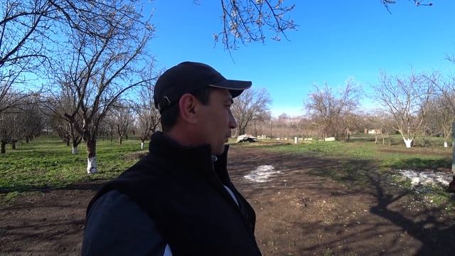 КУПИЛ СОБАКЕ ЛЕКАРСТВО/СПАСИБО ОГРОМНОЕ ПОДПИСЧИКАМ ЗА ПОМОЩЬ/ПЁСЕЛЬ ПРИХОДИТ В СЕБЯ/ смотреть онлайн