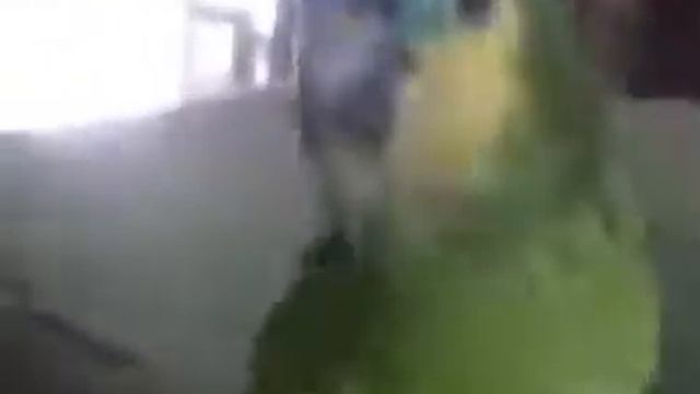 hola papu смотреть онлайн