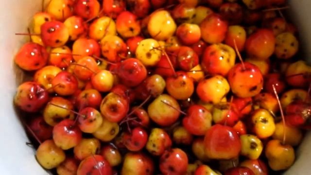 Красивое варенье из китайских (райских) яблочек. смотреть онлайн