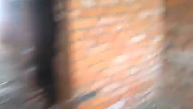 Сталк по зкс в городе сланцы смотреть онлайн