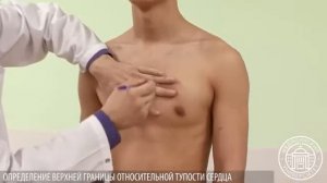 Пальпация,перкуссия аускультация сердца