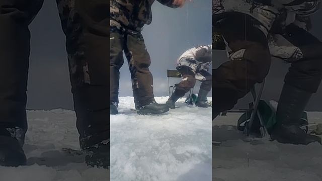 Бешенный клёв зубаря, Сахалин 27.02.2022 смотреть онлайн