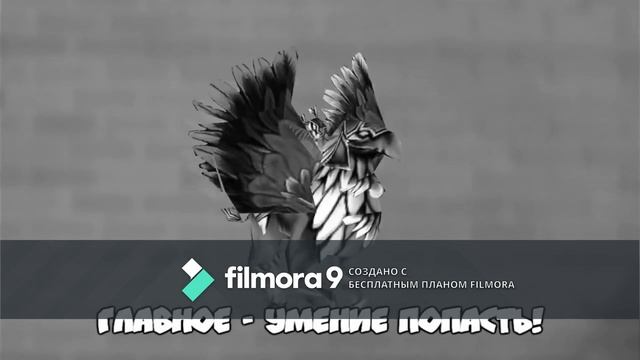 Ricardo_Gnomik_Flex_Shalil_Gomik смотреть онлайн