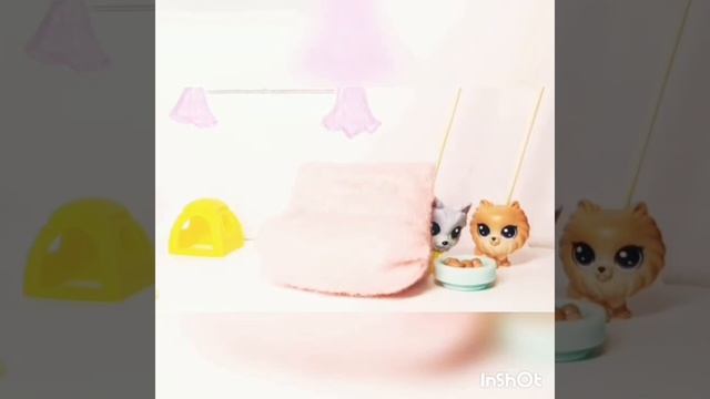 Рассказ Живая шляпа. смотреть онлайн