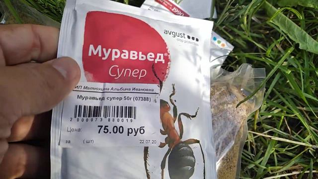 Зеленый аптекарь