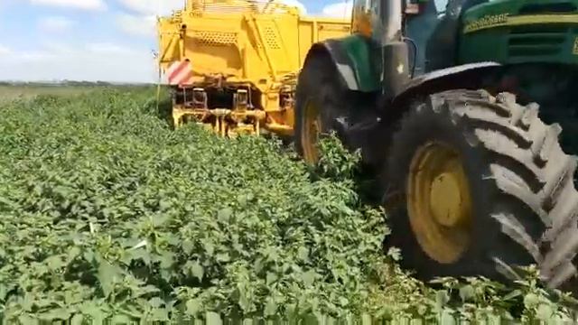 Ропа Кайлер - по сорняку смотреть онлайн