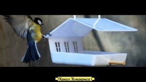 ? Как сделать кормушку для птиц своими руками Идеи кормушек для птиц  Оригинальные кормушки