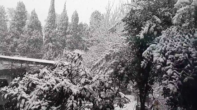 Крым Алупка. Первый снег. 15.01.2021. смотреть онлайн