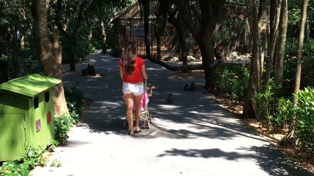 Хайнань, часть 4-ая.Остров обезьян. смотреть онлайн