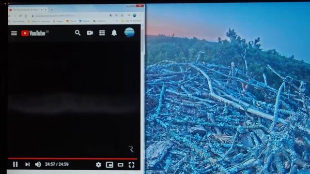 P6240771 24 июня 2020.23:04час. Самец скопы наращивает гнездо после налёта ястреба на своего птенца смотреть онлайн