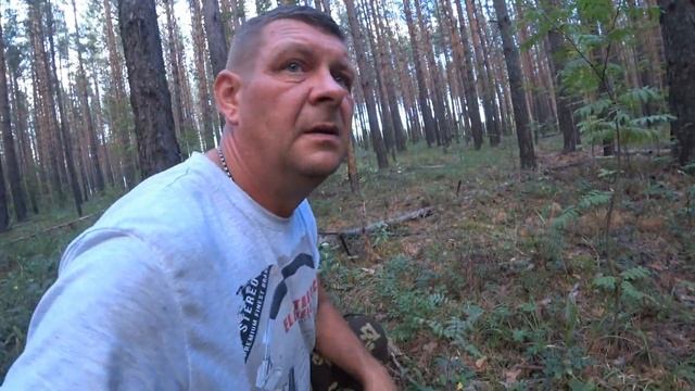 Автомобильные Приключения