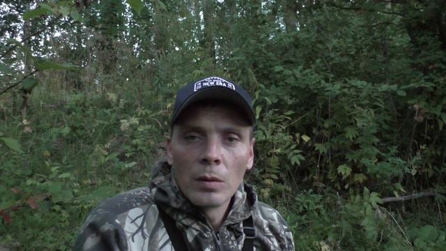 Август. Утро. Рыбалка на Тошне. смотреть онлайн