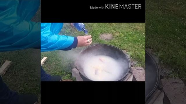 Готовка на даче в казане. Уха,очень вкусная . смотреть онлайн