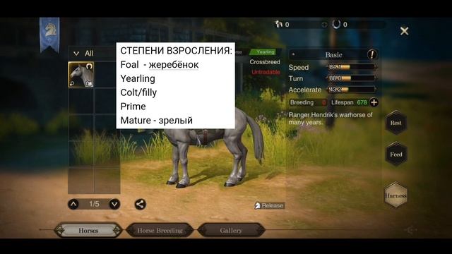 ОСНОВЫ: ВСЁ О ЛОШАДЯХ - Разведение - Кормление [Мини - Гайд] Rangers of Oblivion смотреть онлайн