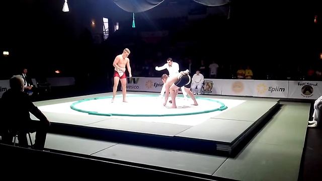 3-5 ноября 2015. Эстония смотреть онлайн