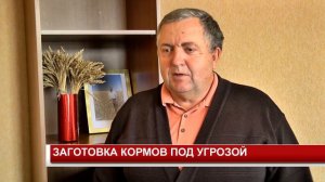 ЗАГОТОВКА КОРМОВ ПОД УГРОЗОЙ