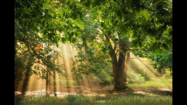 Денежный заговор на осенние листья Действует сразу!!! смотреть онлайн