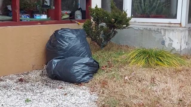 Планирую расположение камней для моего японского сада смотреть онлайн