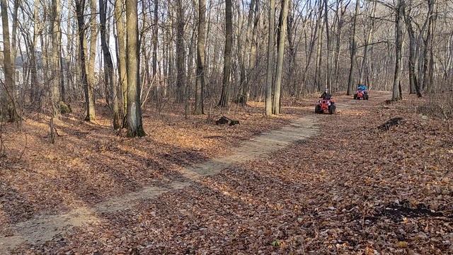 На трёх квадроциклах по осеннему лесу. смотреть онлайн