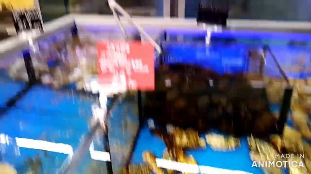 ОБЗОР СЕТИ МАГАЗИНОВ ТАБРИС! КРАСНОДАР! ЦЕНЫ И АССОРТИМЕНТ (часть 2) смотреть онлайн