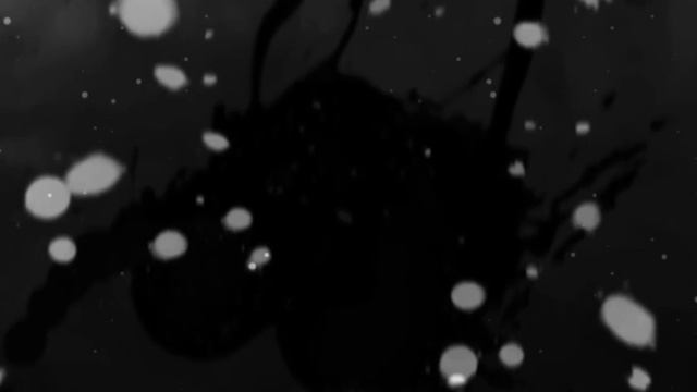 я рюблю точно/Tiny Bunny/Рома/Антон/я не знаю зачем я это выкладываю смотреть онлайн