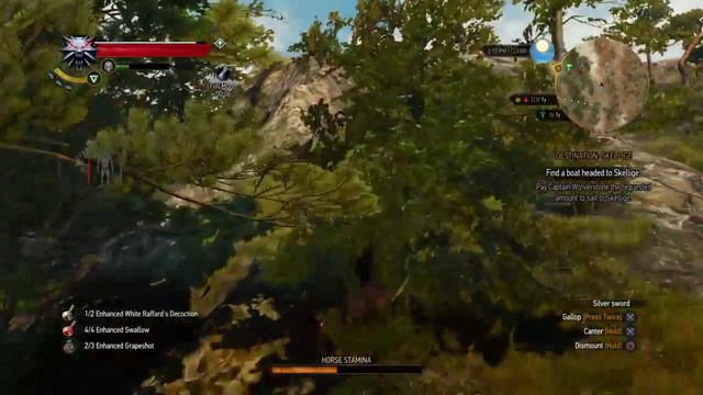 The Witcher 3: Wild Hunt (What a fuck doing this asshole horse????) смотреть онлайн