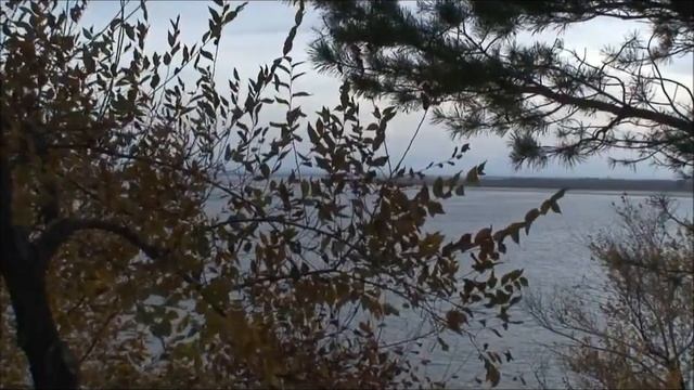 Система Цветных Сновидений - Одиночество смотреть онлайн