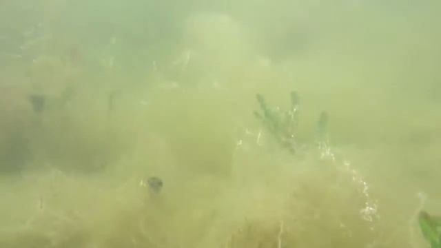 Погружение Sony Xperia Z смотреть онлайн