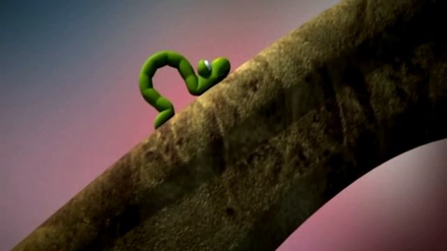 Про червячка/ About the worm HD смотреть онлайн