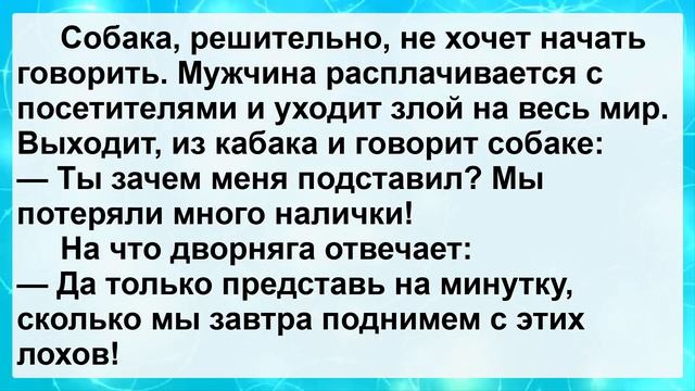 Жена военного приходит домой! Подборка Смешных Пикантных Анекдотов для Настроения! Позитив! смотреть онлайн