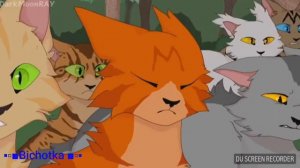 Гимн Котов - Воителей