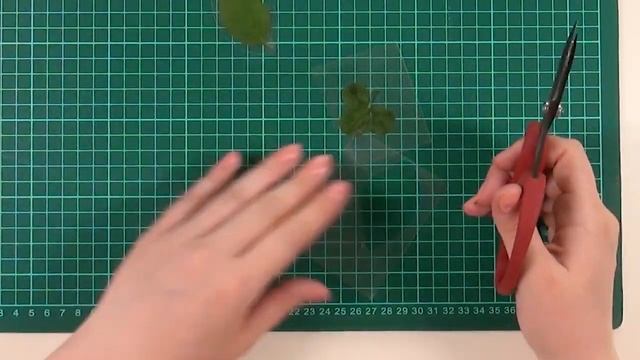 Живые цветы в скрапбукинге | Ламинация растений | Хранение гербария смотреть онлайн