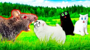 Огромная КРЫСА ОТГРЫЗЛА Шанельке Нос??!!!