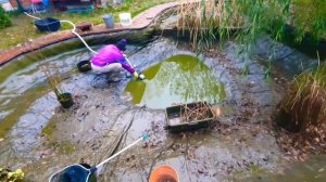 Карпы кои, зимовка. Пруд готовим к зиме.