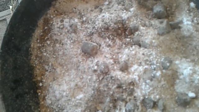 ПРИКОРМ ТРЕХНЕДЕЛЬНЫХ ПОРОСЯТ смотреть онлайн