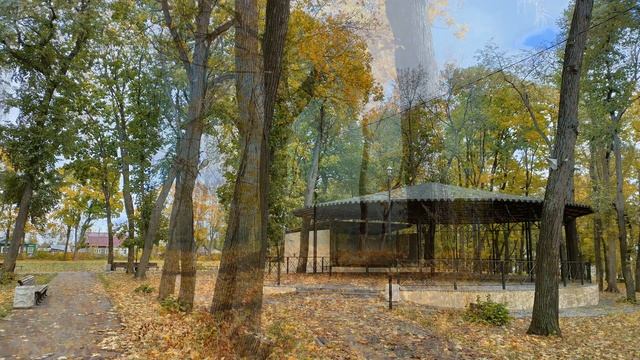 Не жалею... Жалею на самом деле. Поёт Юрий Злобин смотреть онлайн