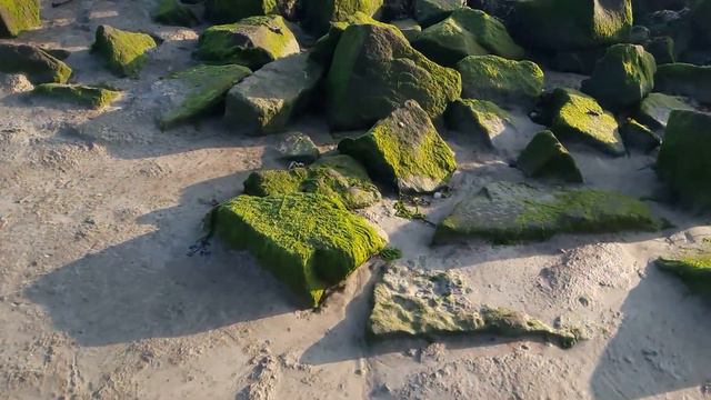 12 декабря 2022 г.(1) смотреть онлайн