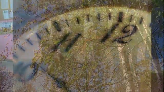 Нотный райский мир