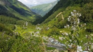 Карачаево-Черкесия. Кислые источники - лекарство от всех болезней! 1 часть.