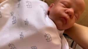 Утро с реборнами Лиамом и Львом | Собираемся в садик | Истерика Лиама